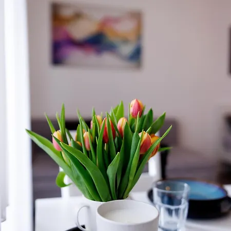 Living Lu - Cosy One - Netflix - Naehe Mannheim - Basf - 1 شقة لودويغشافن ام ري
