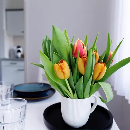 شقة Living Lu - Cosy One - Netflix - Naehe Mannheim - Basf - 1