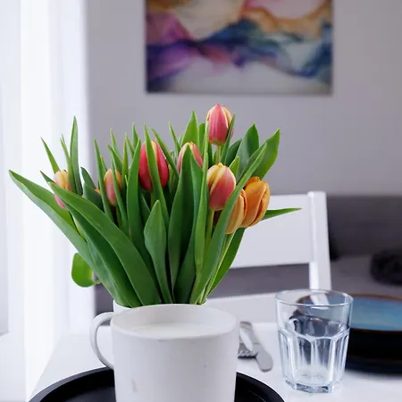 شقة Living Lu - Cosy One - Netflix - Naehe Mannheim - Basf - 1 *